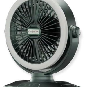 SHAKE-HEAD FAN